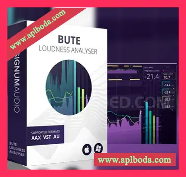 [响度分析器插件]Signum Audio Bute Loudness Analyzer 2 (StereoSurround) v2.0.0 [WiN]（3Mb）