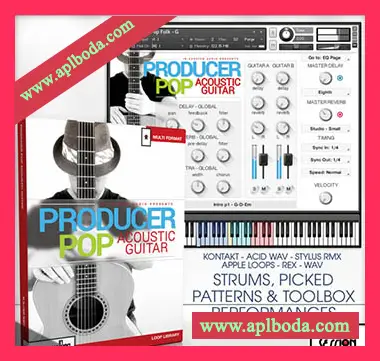 [流行原声吉他音源]In Session Audio Producer Pop Acoustic Guitar [多格式]（4.34Gb）