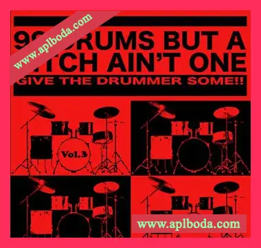 [Breaks鼓组采样]Daydrum 99 Drums But A Bitch Ain’t One Vol.3 [WAV]（121Mb）