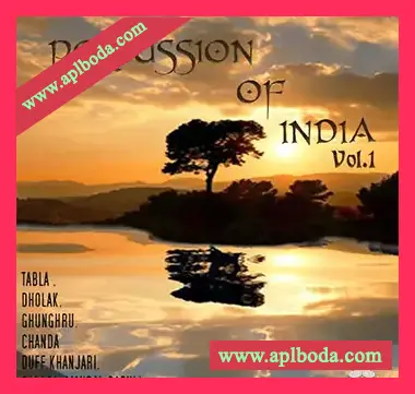 [印度打击乐采样音源]GBR Percussion Percussion Of India Vol.1 [WAV, REX, KONTAKT]（1.05Gb）