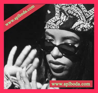 [RnB采样]Late Nights Aaliyahs Sounds Collection (Sound Pack) [WAV]（58Mb）