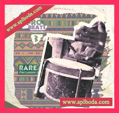 [非洲节奏风格打击乐采样]RARE Percussion Afro Beats Percussion vol.3 [WAV]（291Mb）