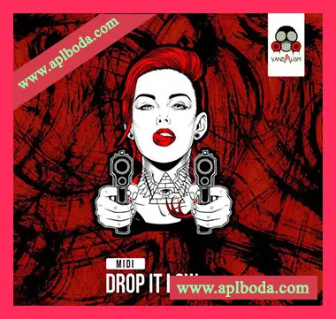 [MiDi素材电子浩室]Vandalism Drop It Low（4Mb）
