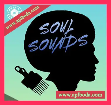 [灵魂RnB采样]Loops 4 Producers Soul Sounds [WAV]（10Mb）