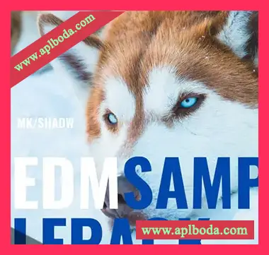 [EDM电子舞曲采样]MKShadw EDM Sample Pack [WAV]（68Mb）