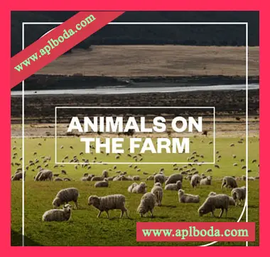 [农场动物FX音效采样]Blastwave FX Animals on the Farm [WAV]（300Mb）