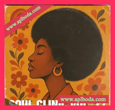 [灵魂RnB采样]Dave Zeke Soul Clinic 17 Vintage Sample Pack [WAV]（77.36Mb）