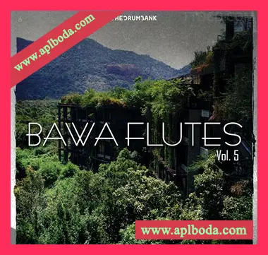 [民族嘻哈陷阱长笛采样]Dynasty Loops Bawa Flutes 5 [WAV]（21Mb）