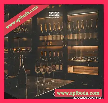[灵魂嘻哈RnB采样]Soul Surplus Champagne Problems [WAV]（241Mb）