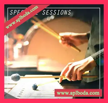 [嘻哈说唱采样]Prime Loops Spectral Sessions [WAV]（433Mb）
