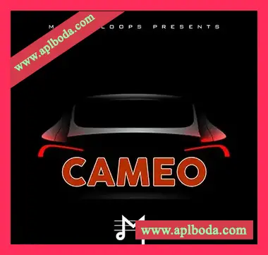 [嘻哈陷阱采样]Major Loops Cameo [WAV]（394Mb）