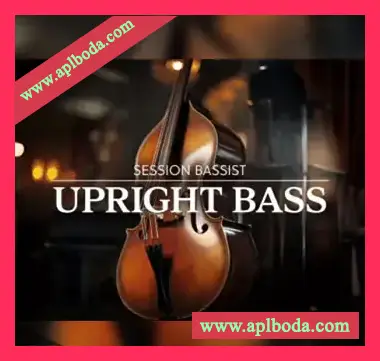[立式贝司音源]Native Instruments Session Bassist Upright Bass [KONTAKT]（6.12Gb）