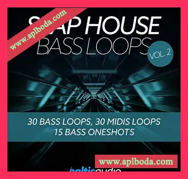 [SlapHouse低音素材]Baltic Audio Slap House Bass Loops Vol.2 [WAV, MiDi]（157Mb）