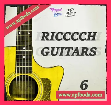 [嘻哈RnB吉他采样]Regal Loops Ricccch Guitars 6 [WAV]（137Mb）
