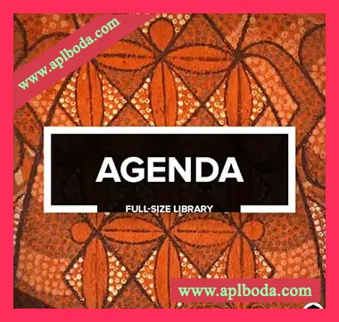[前卫科技浩室采样]Audiotent Agenda [WAV]（998Mb）