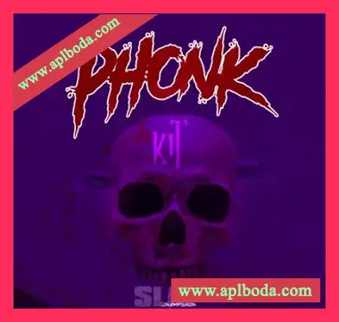 [嘻哈说唱采样]Dank Slaps Phonk Slaps Sample Kit [WAV]（236Mb）