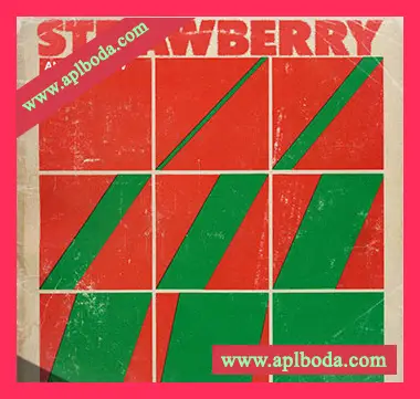 [Analog Lab预置氛围驰放]The44thfloor Strawberry (Analog Lab V Bank)（19Mb）