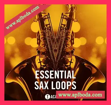 [浩室萨克斯采样]Toolroom Essential Sax Loops [WAV]（256Mb）