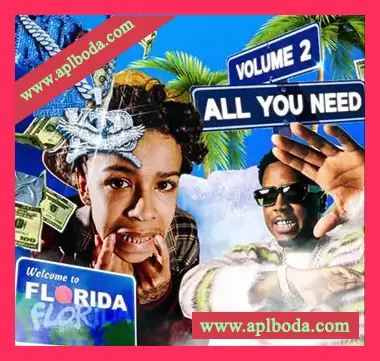 [嘻哈陷阱素材FL预置FL模板]Hawky Whydah All You Need 2 (Florida Multi-Kit) [WAV, MiDi]（124Mb）