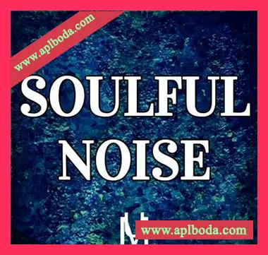 [流行灵魂RnB采样]Undisputed Music Soulful Noise [WAV]（180Mb）
