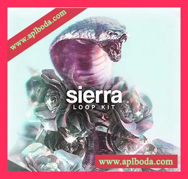 [嘻哈说唱陷阱采样]Based1 Sierra Loop Kit [WAV]（245Mb）