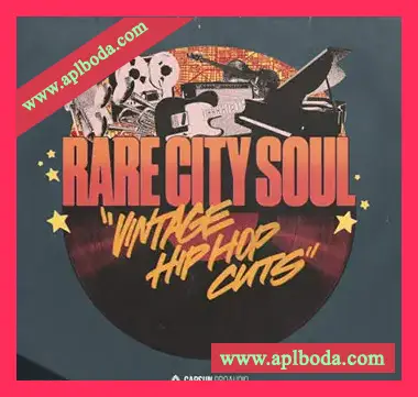 [灵魂嘻哈RnB采样]Capsun ProAudio Rare City Soul Vintage Hiphop Cuts [WAV]（899Mb）