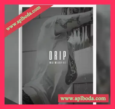 [RnB灵魂嘻哈MiDi素材]The Kit Plug Drip (Melody Midi Kit)（14Kb）