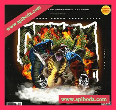 [嘻哈氛围采样]Dude Clayy Cobra (Loop Kit) [WAV]（194Mb）