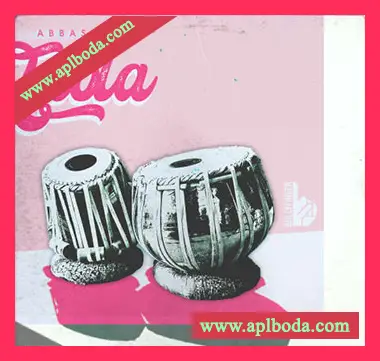 [塔布拉tabl民族打击采样]Bullyfinger Abbas Jan Tabla [WAV]（201Mb）