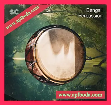 [孟加拉民族打击乐器采样]Sonic Collective Bengali Percussion [WAV]（239Mb）