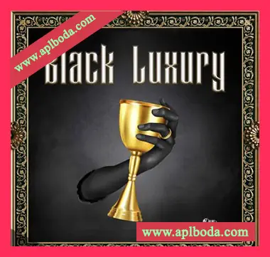 [嘻哈说唱采样]LEX Sounds Black Luxury [WAV]（845Mb）