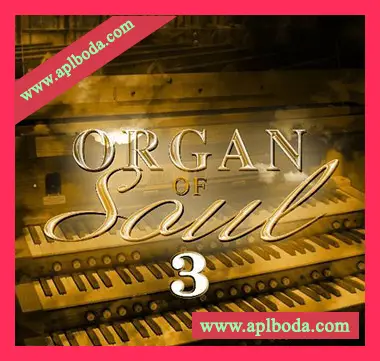 [灵魂嘻哈RnB风琴采样]Big Citi Loops Organ Of Soul 3 [WAV]（164Mb）