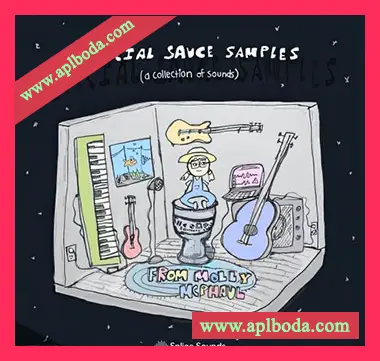 [氛围驰放采样]Splice Sounds Special Sauce Samples from Molly McPhaul [WAV]（90Mb）