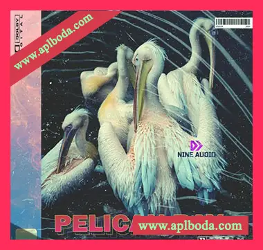 [灵魂嘻哈RnB采样]Nine Audio Pelican Bay [WAV]（85Mb）