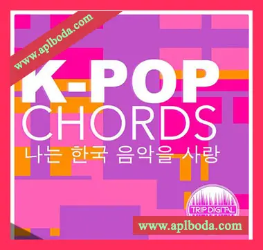 [Pop流行和弦采样]Trip Digital K-POP Chords [WAV]（38Mb）