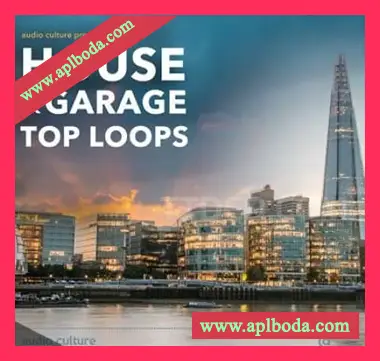 [深邃科技浩室采样]Audio Culture House and Garage Top Loops [WAV]（238Mb）