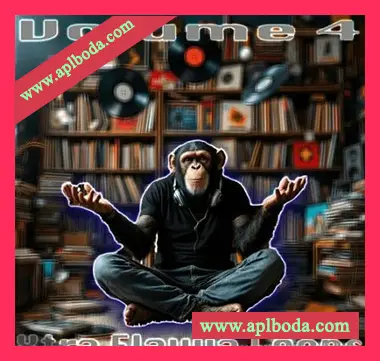 [鼓打贝斯采样]Crystal Distortion Crystal D’s Xtra Flayva Loops [WAV]（17Mb）