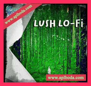 [低保真嘻哈说唱采样]Catalyst Samples Lush Lo-Fi [WAV]（529Mb）