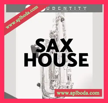 [浩室萨克斯素材]Audentity Records Sax-House [WAV, MiDi]（336Mb）