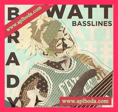 [嘻哈说唱低音采样]Splice Sounds Brady Watt Basslines [WAV]（520Mb）