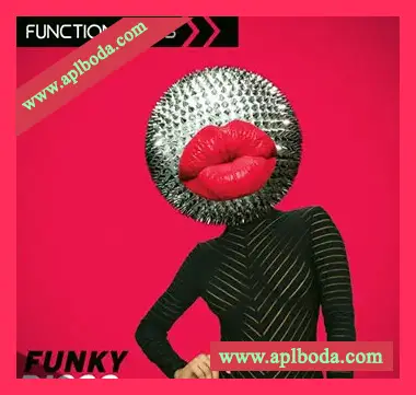 [迪斯科放克采样]Function Loops Funky Disco [WAV, MiDi]（286.04Mb）