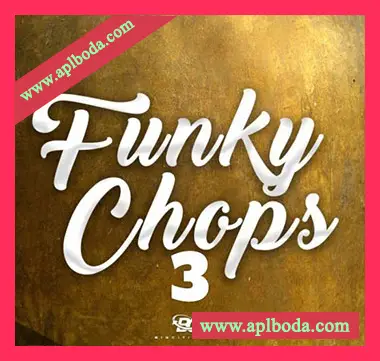 [流行RnB放克切片采样]Big Citi Loops Funky Chops 3 [WAV]（242Mb）