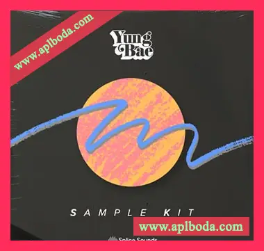 [Disco采样]Splice Sounds Yung Bae Sample Kit [WAV]（46Mb）