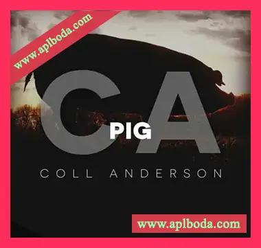 [猪音效FX采样]C.A. Sound Inc Pig [WAV]（597Mb）
