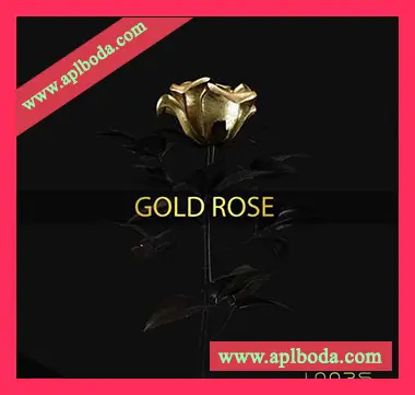 [Trap陷阱采样]Dynasty Loops Gold Rose [WAV]（16Mb）