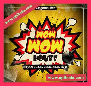 [浩室素材Massive预置Sylenth1预置]Singomakers Wow Wow House [多格式]（910Mb）