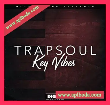 [灵魂RnB钢琴采样]Diggy Loops Trap Soul Key Vibes [WAV]（23Mb）