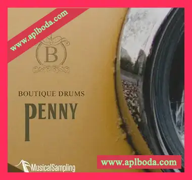 [6070年代流行摇滚鼓组音源]Musical Sampling Boutique Drums Penny [KONTAKT]（6.84Gb）