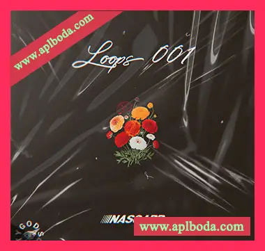 [嘻哈陷阱LOOP采样]Nascarr Loops 001 [WAV]（72Mb）
