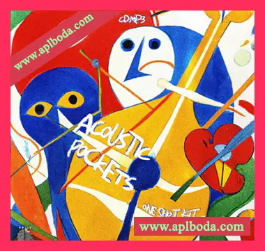 [Trap陷阱采样]CD.mp3 Acoustic Pockets (One Shot Kit) [WAV]（77Mb）